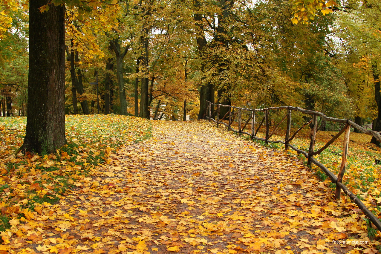 Дворцовый парк