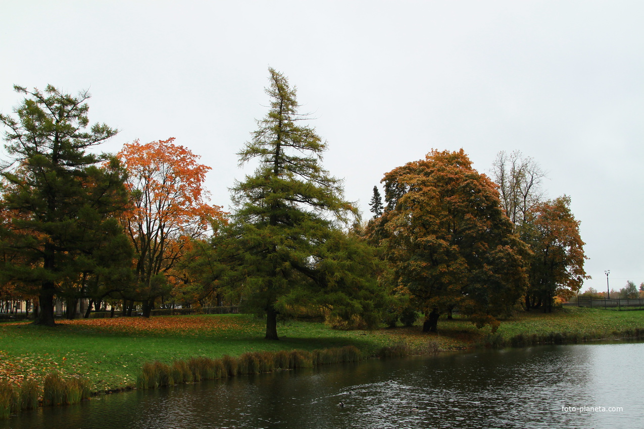 Дворцовый парк