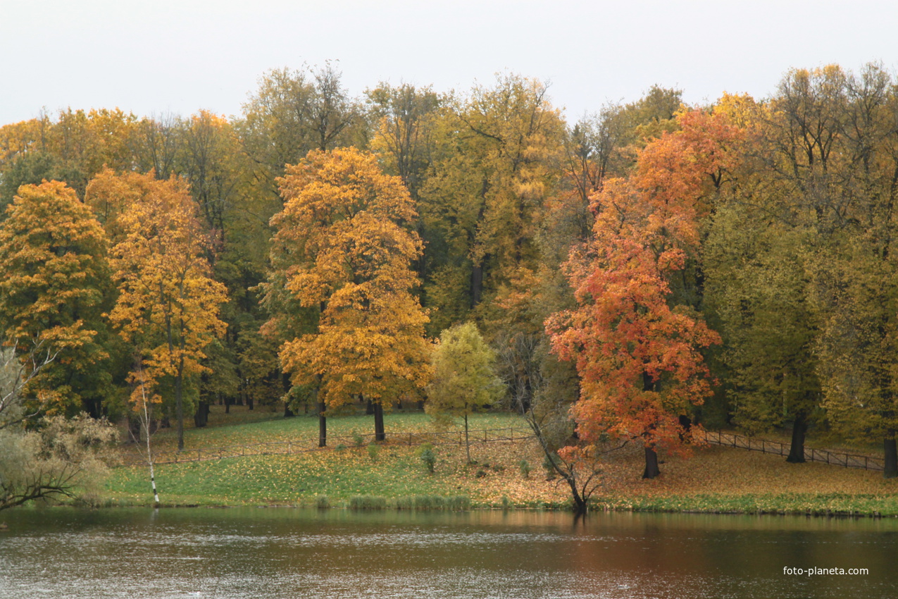 Дворцовый парк