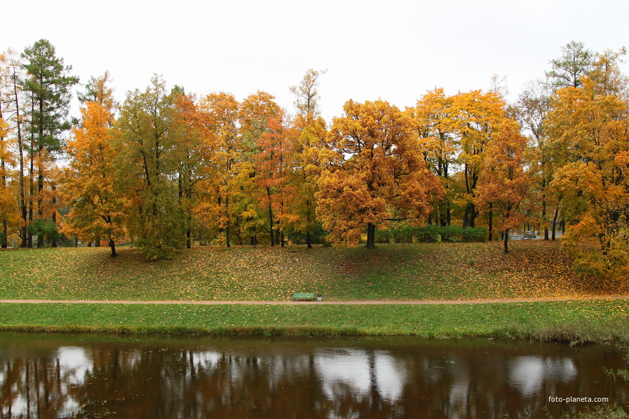 Дворцовый парк