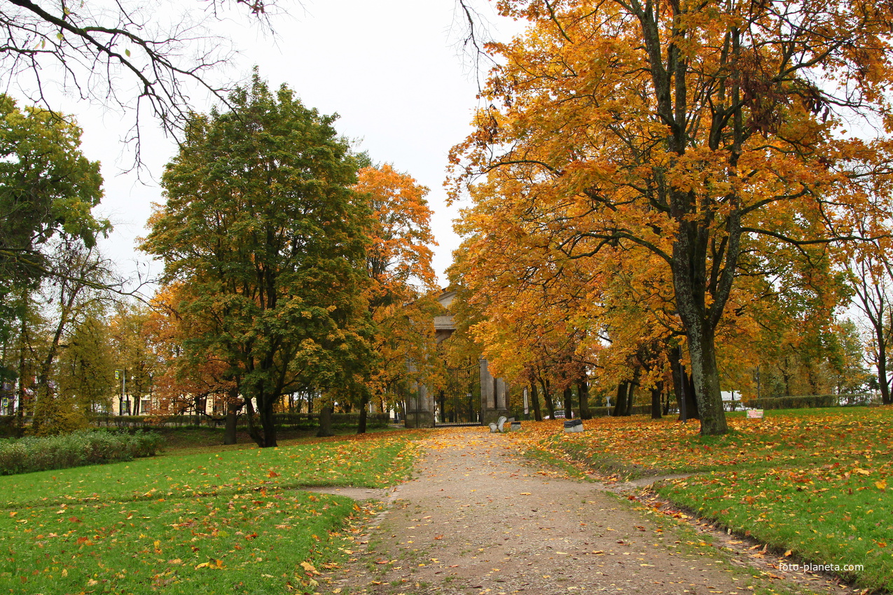 Дворцовый парк