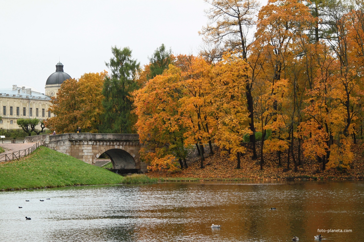 Карпин мост