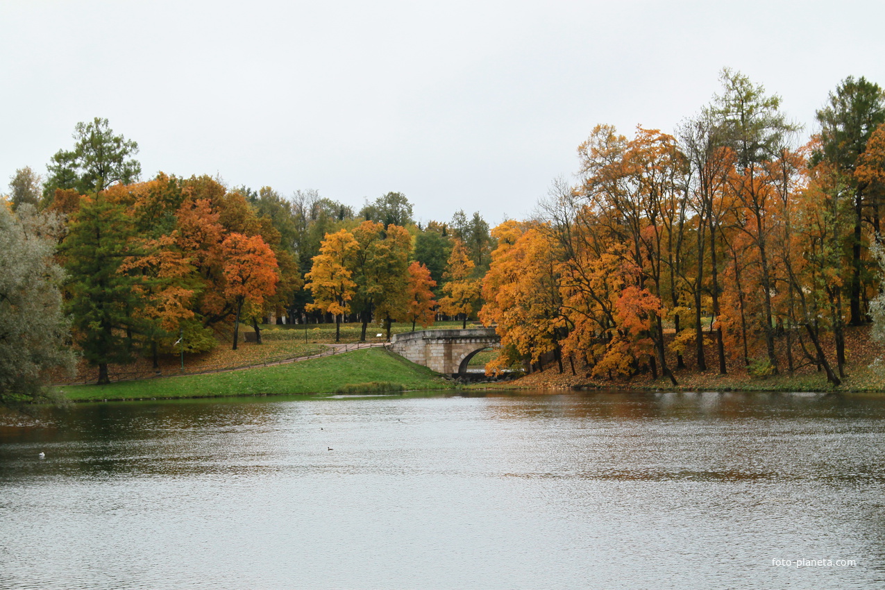 Карпин пруд