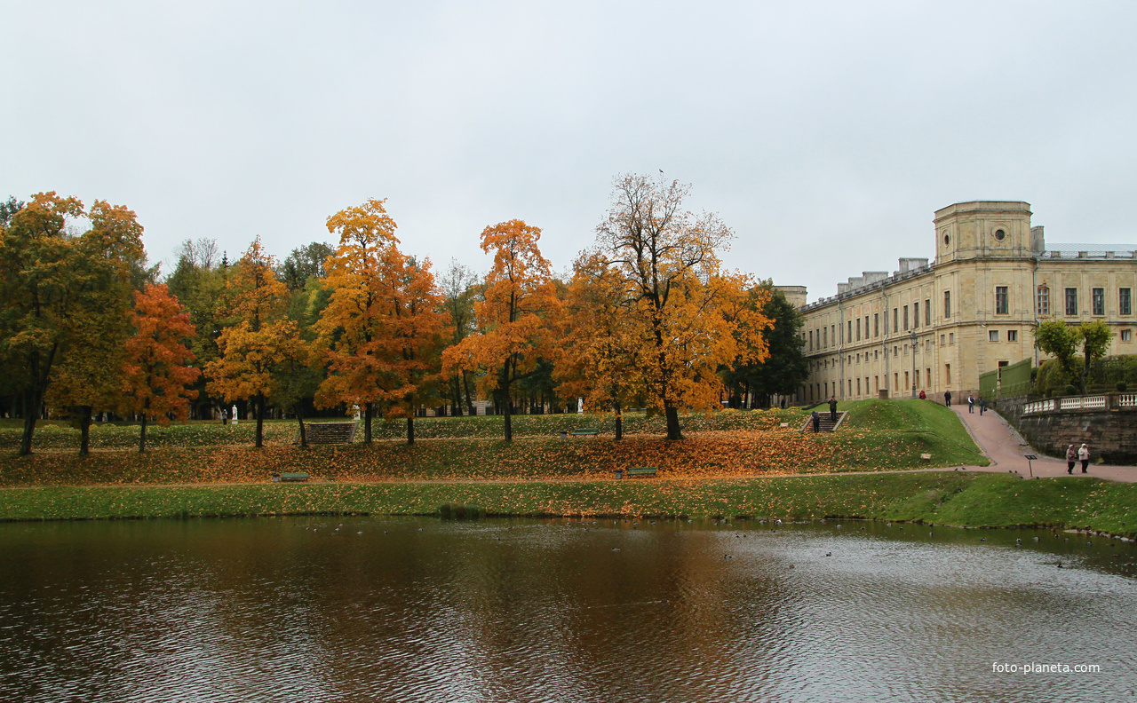Карпин пруд