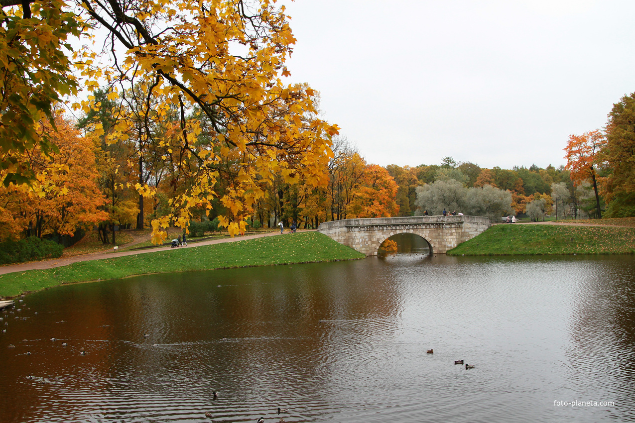 Карпин пруд