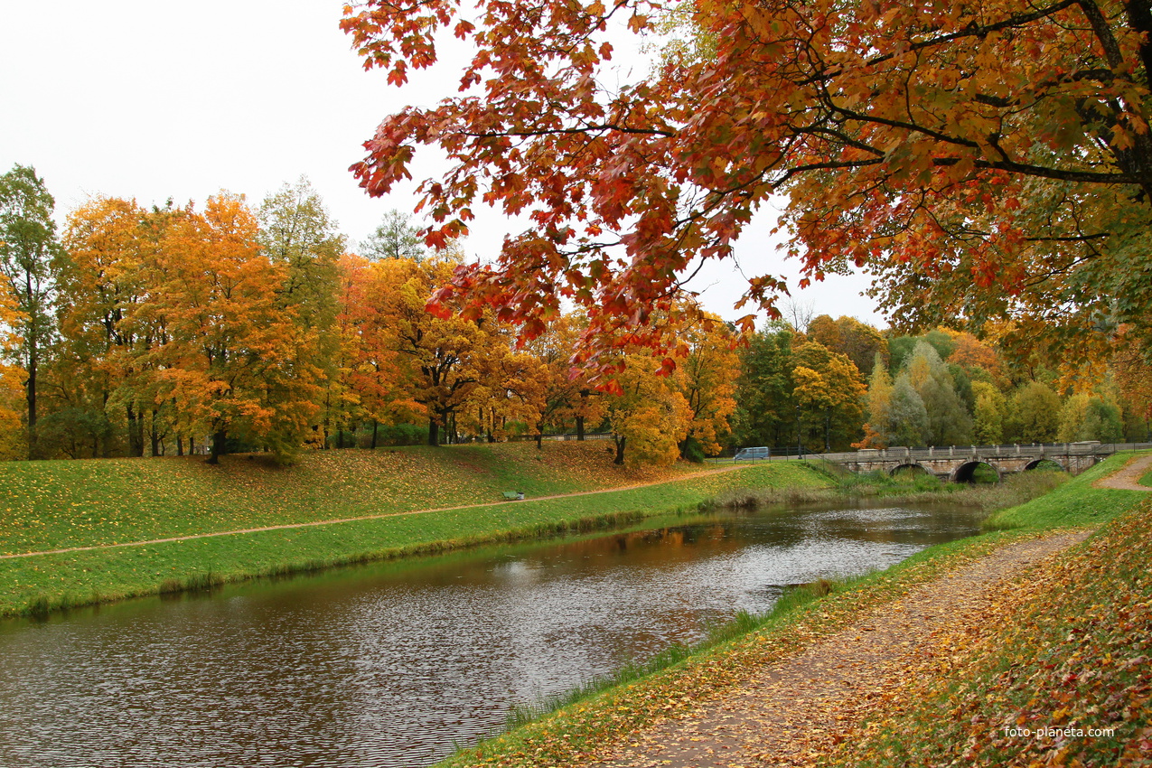 Карпин пруд