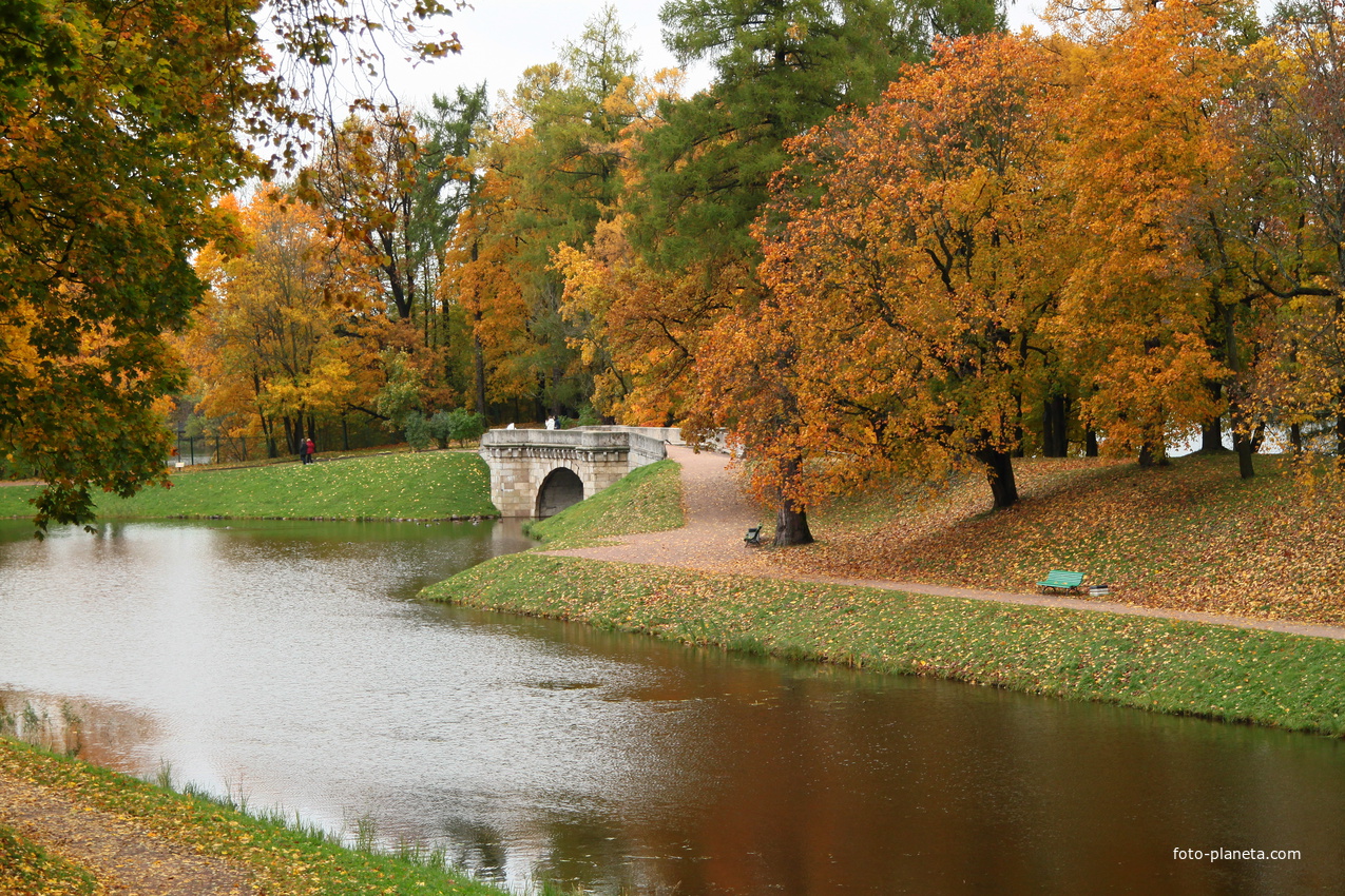 Карпин пруд