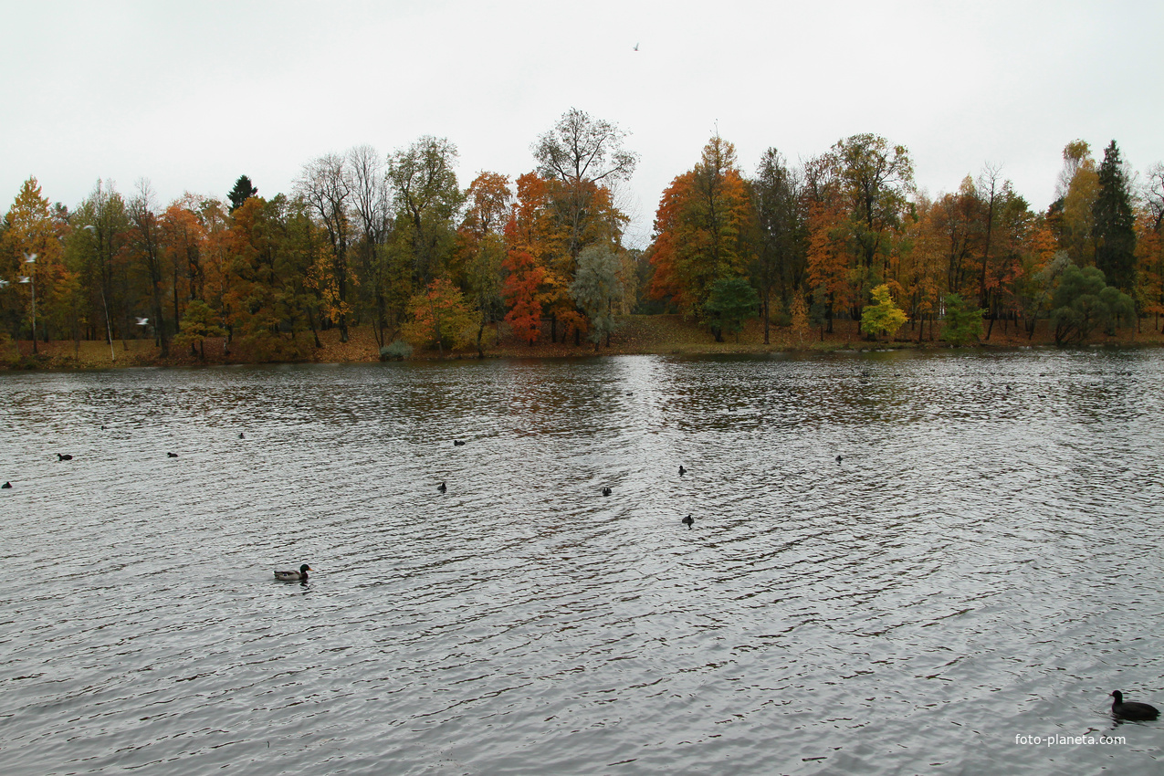 Озеро Белое