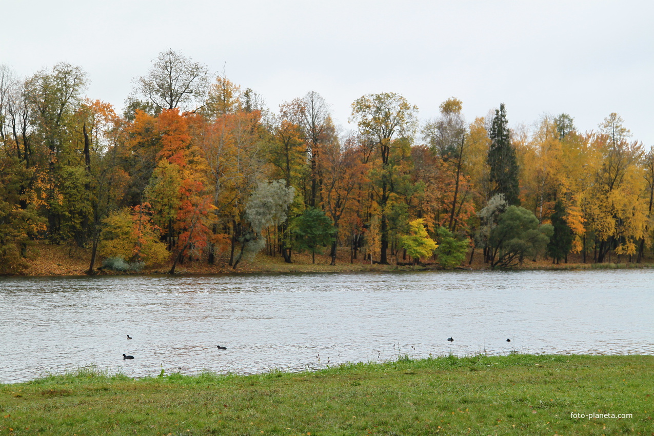 Озеро Белое