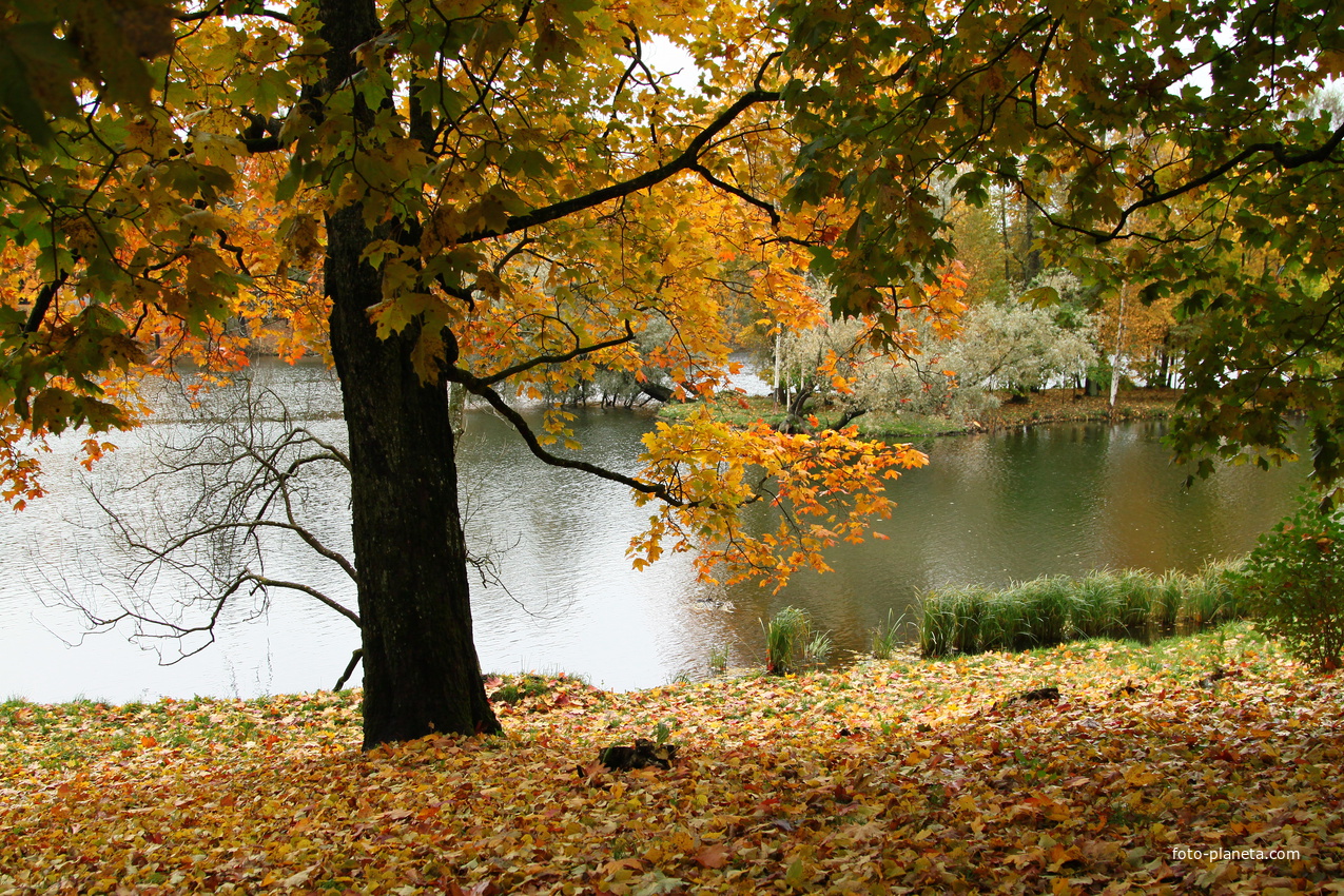 Озеро Белое