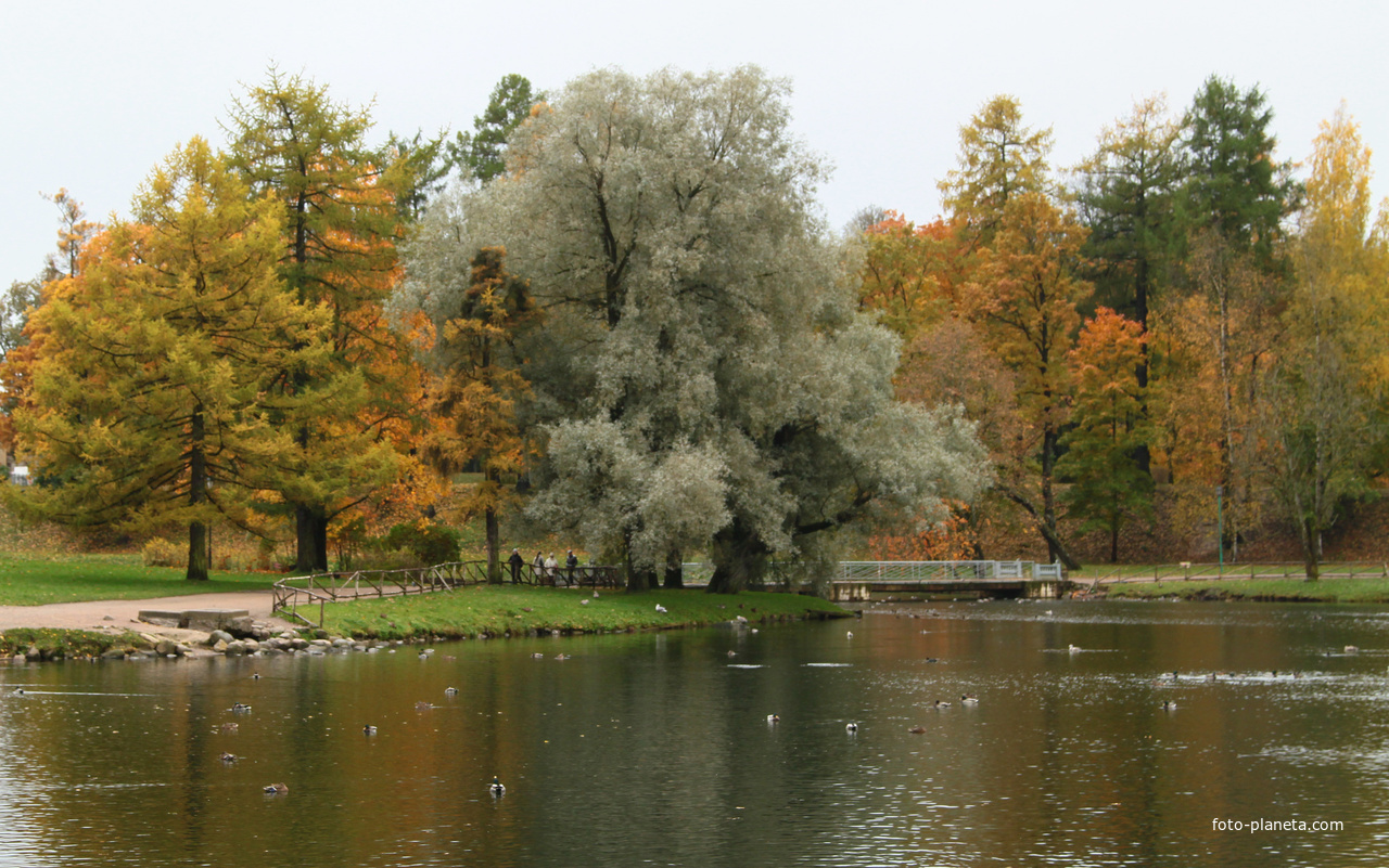 Озеро Белое