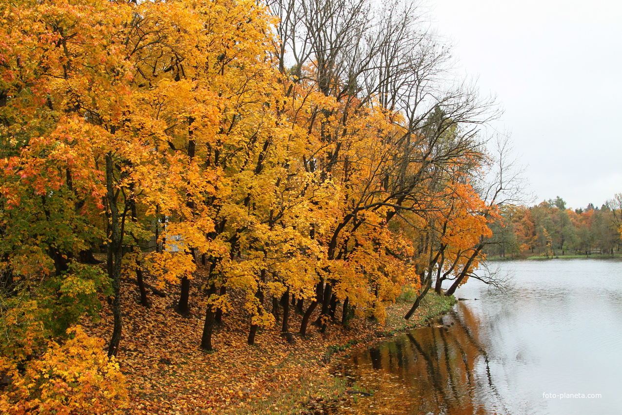 Озеро Белое