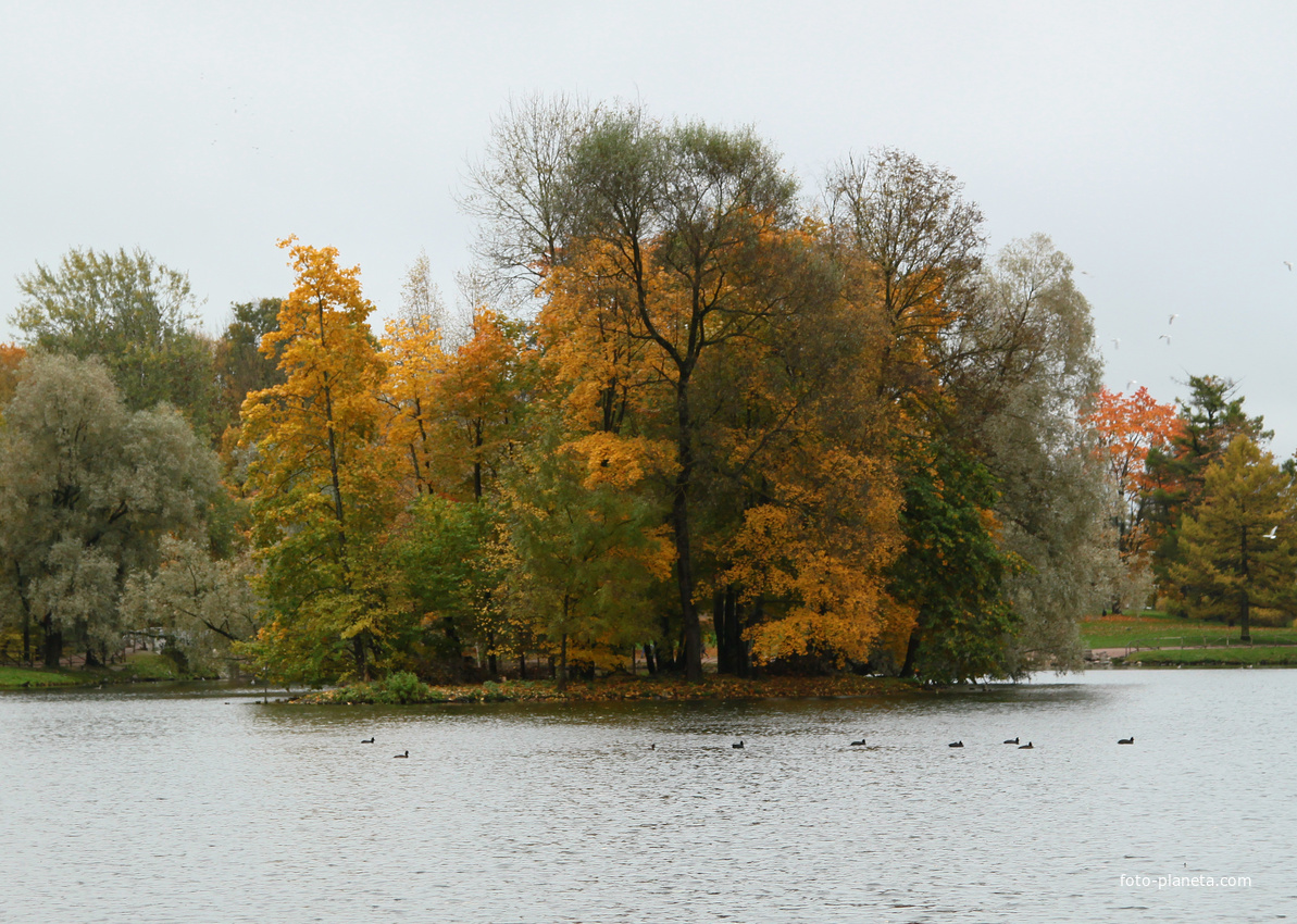Озеро Белое. Остров Вороний.