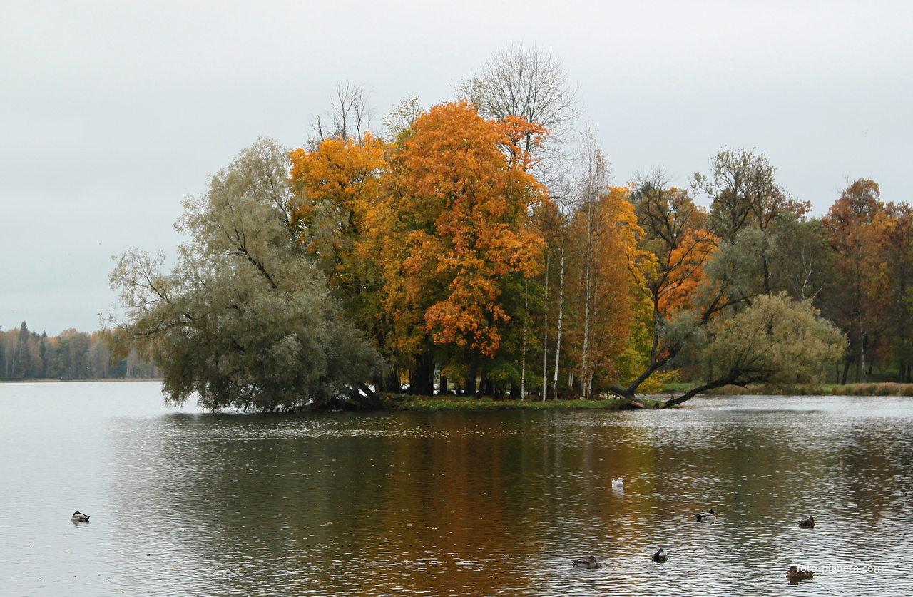Озеро Белое. Остров Вороний.