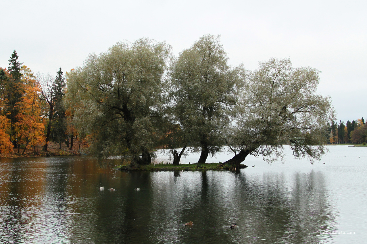 Озеро Белое. Остров Лебяжий.