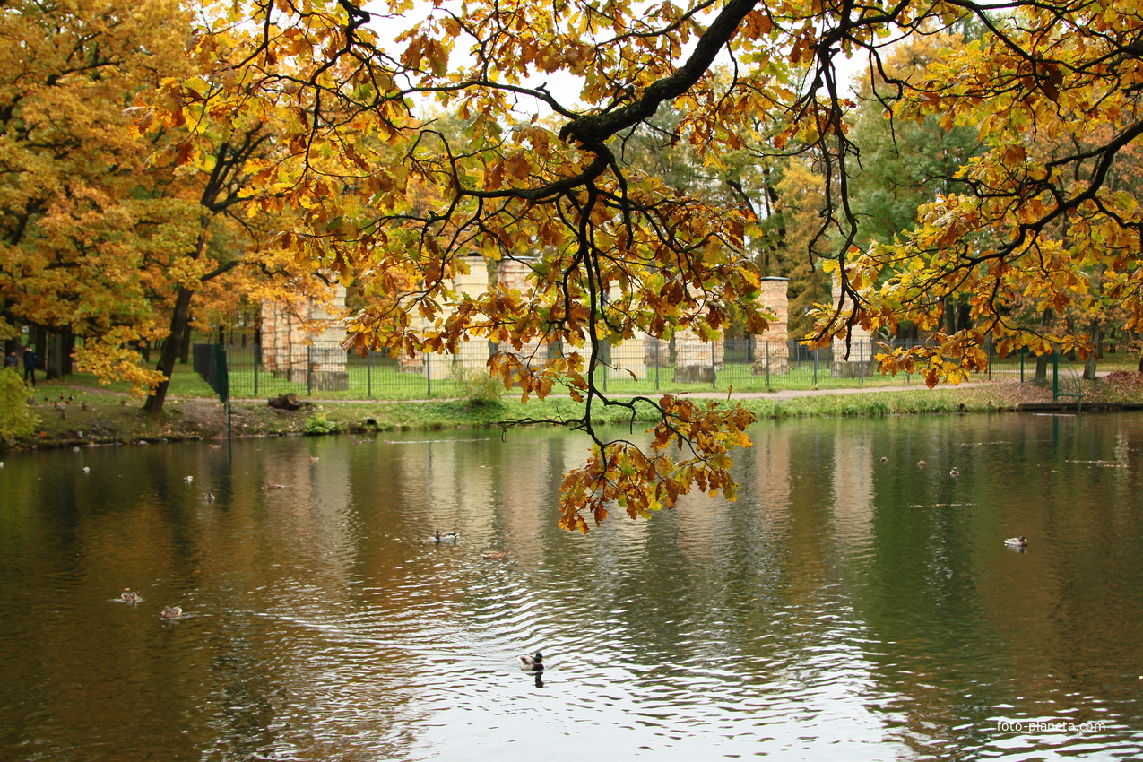 Дворцовый парк. Пруд Ковш.