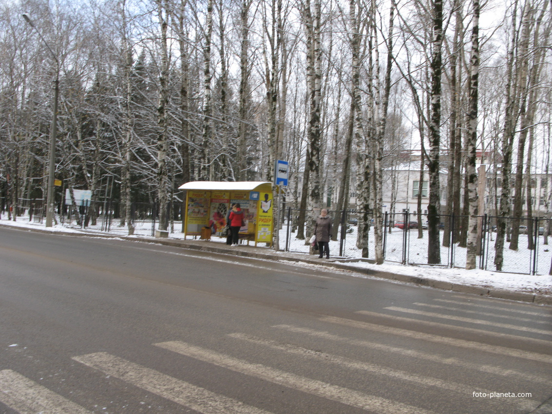 Сыктывкар 2017