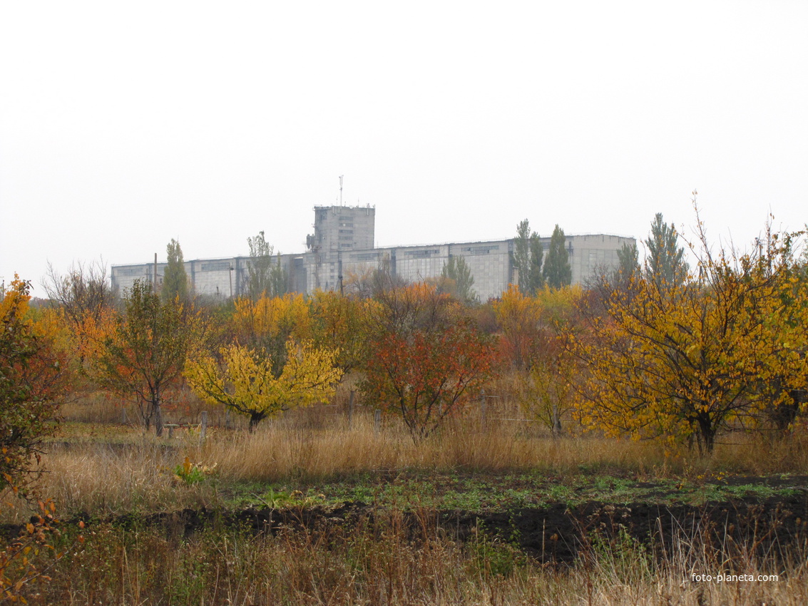 Вид на элеватор на железнодорожной станции Легендарная с огородов.По непроверенным данным-самый мощный на Украине и третий в Европе.