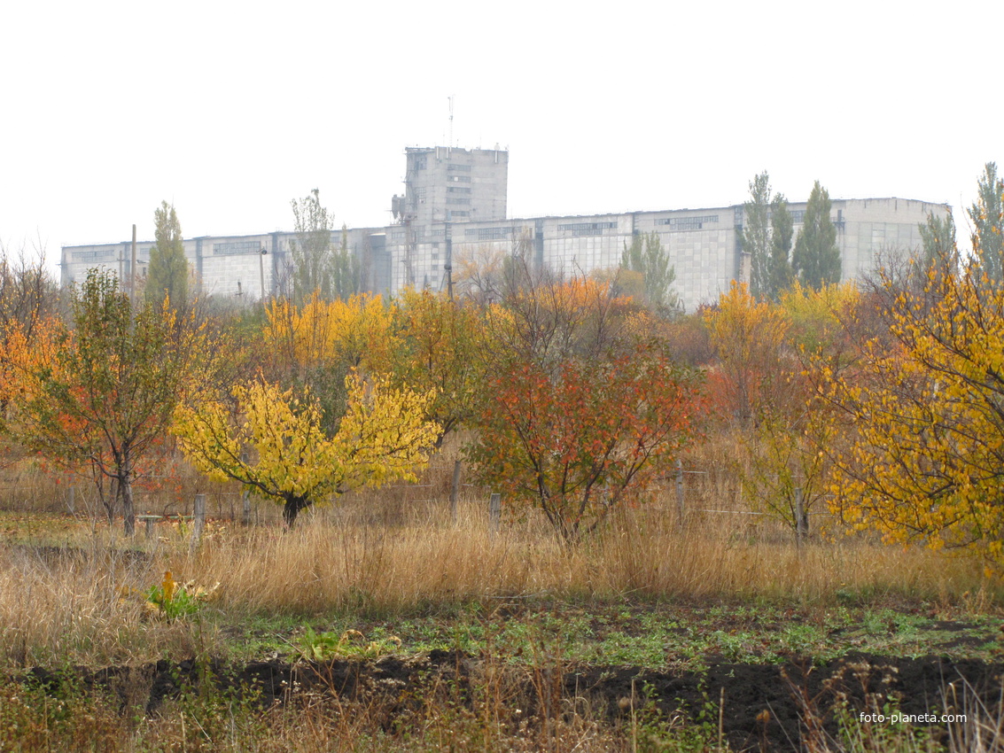 Вид на элеватор на железнодорожной станции Легендарная с огородов.По непроверенным данным-самый мощный на Украине и третий в Европе.