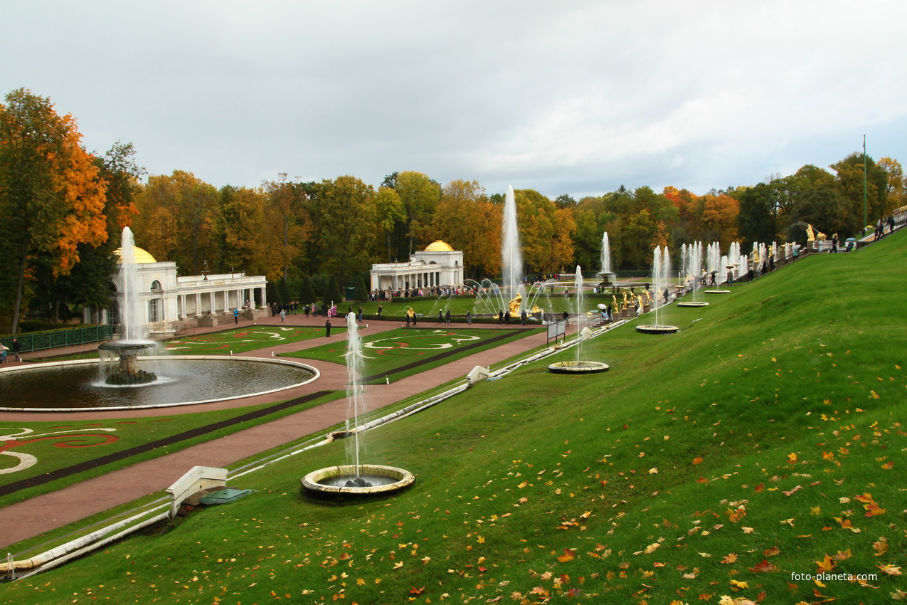 Нижний парк фото. Петергоф Нижний парк Западный. Каскадный парк Нижний Новгород. Экспозиция «Нижний парк». Экспозиция Нижний парк фото.