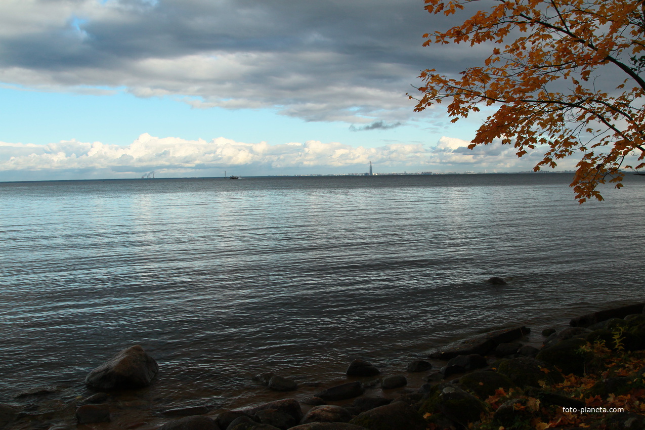 Финский залив