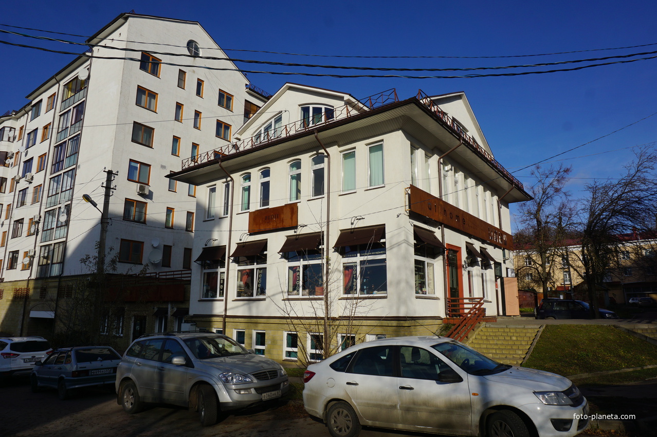 Мандариновый Гусь