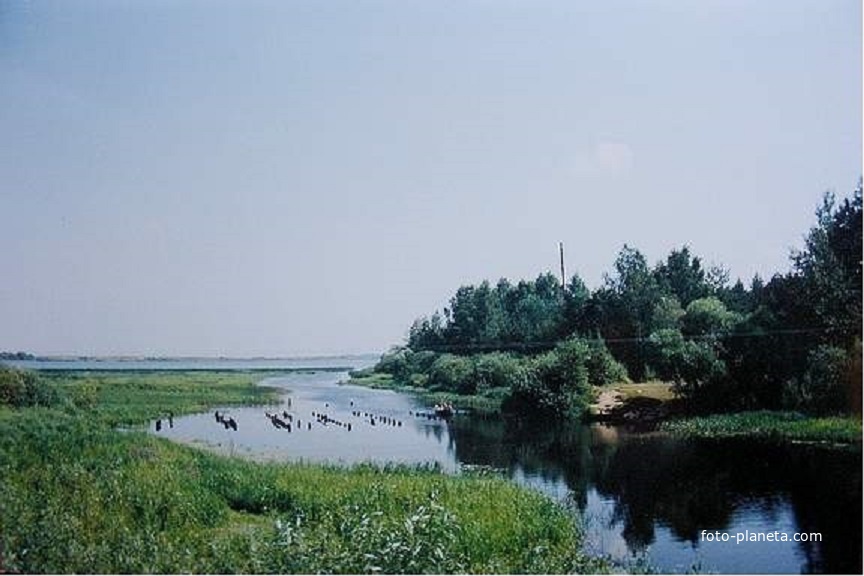 Вид с моста через р. Пра около деревни Евлево на оз. Святое Евлевское. Август 1994г.