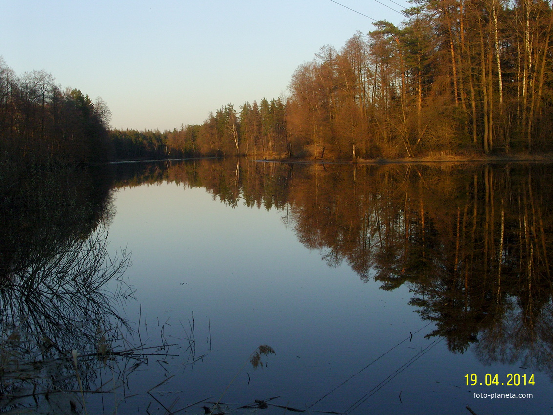 Река Поля у деревни Никитинская