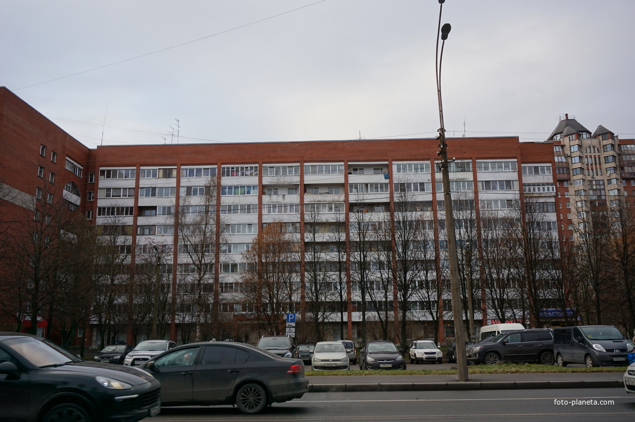 Сестрорецк.