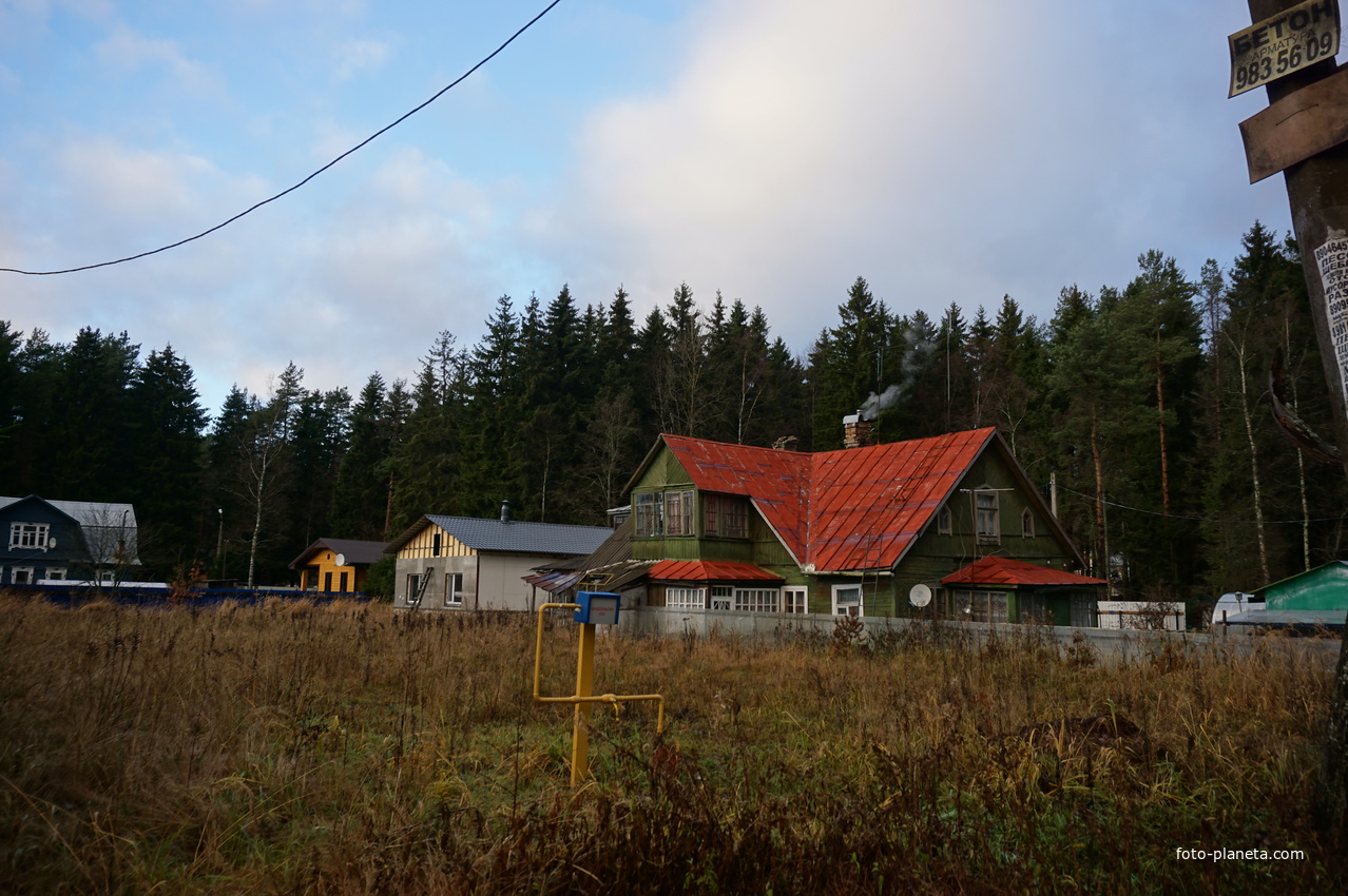 Зеленогорск