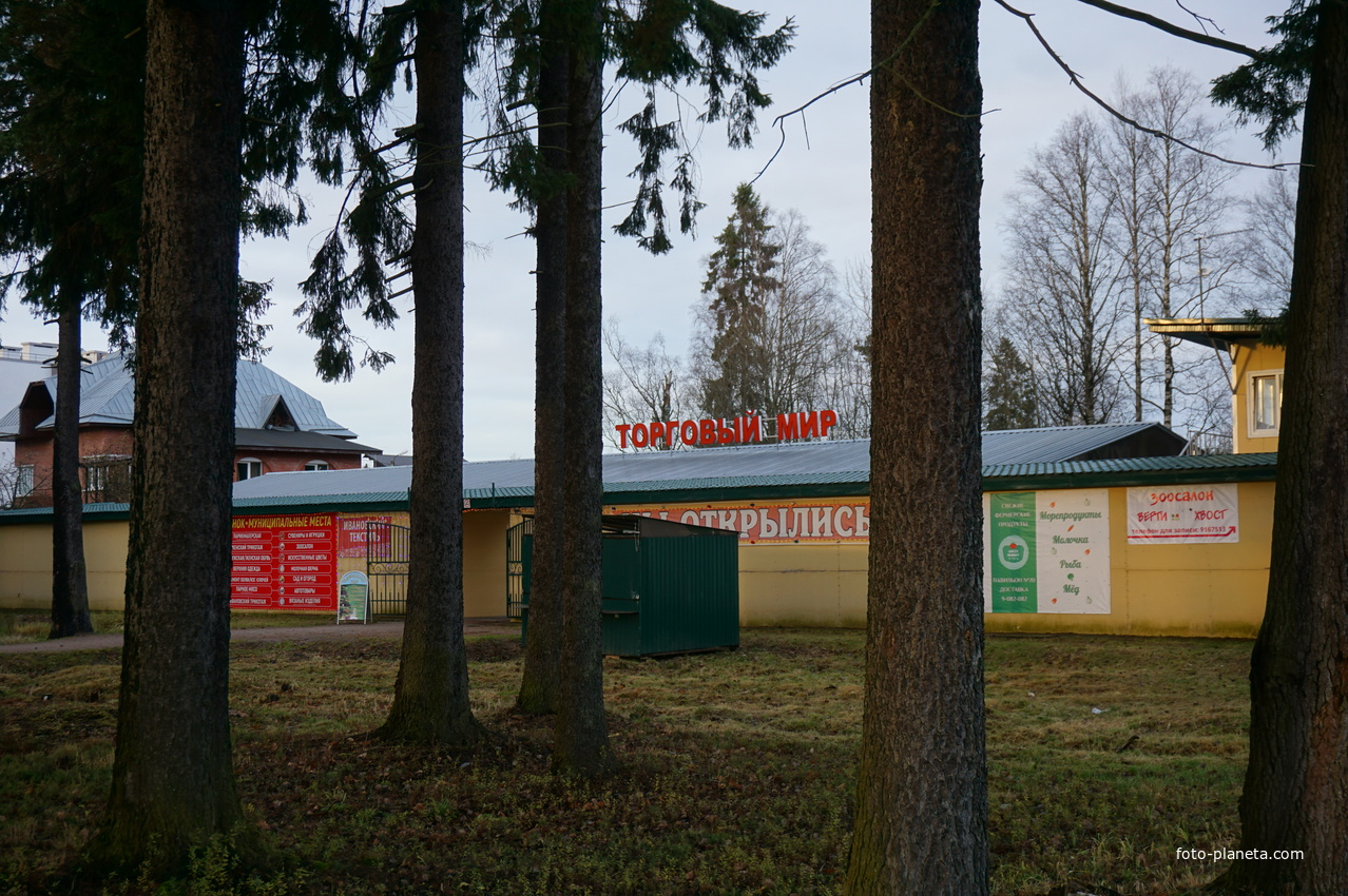 Зеленогорск