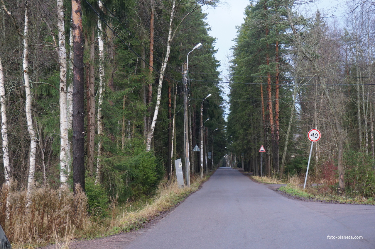 Зеленогорск