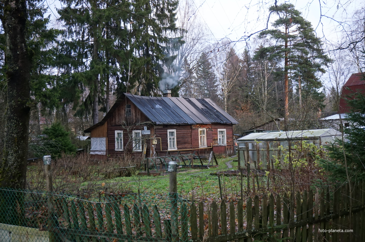 Зеленогорск