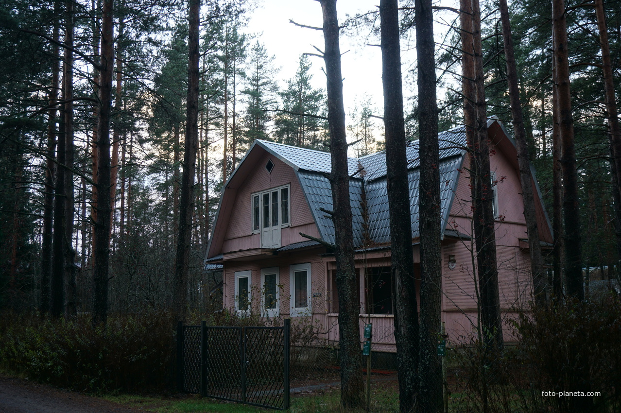 Зеленогорск