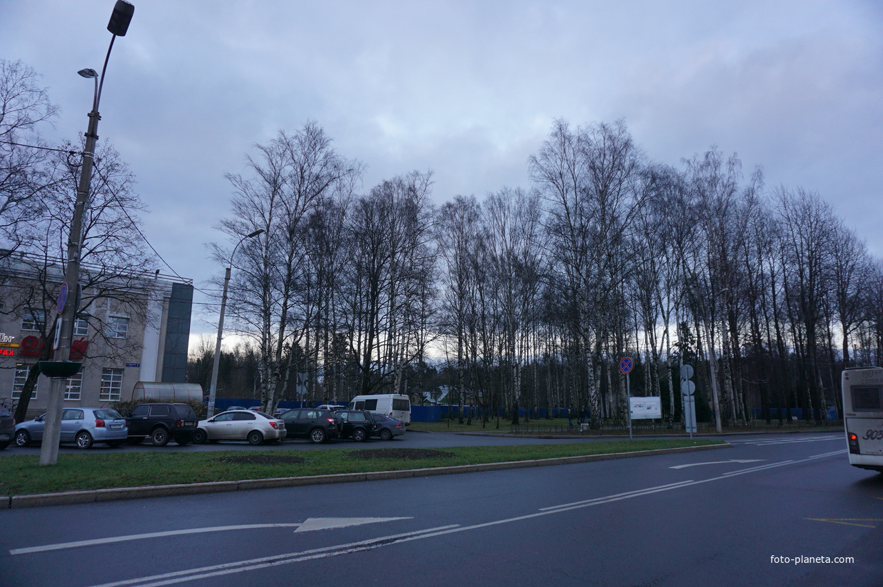 Зеленогорск