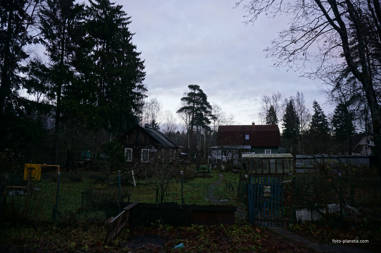 Зеленогорск