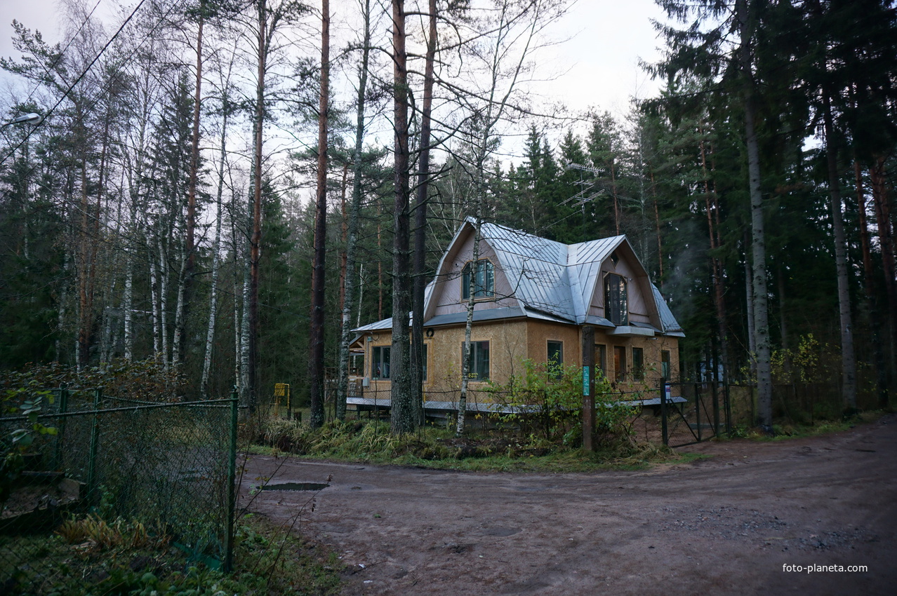 Зеленогорск