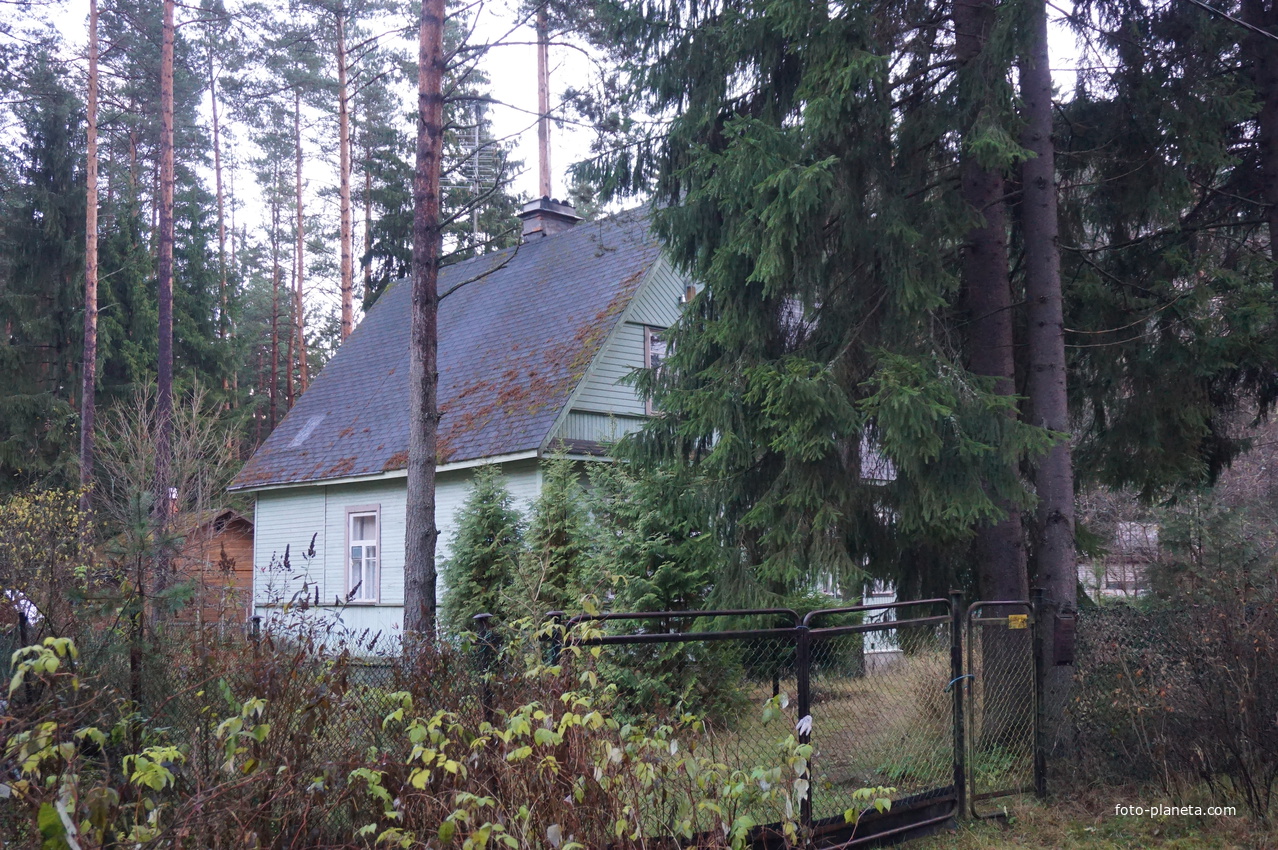 Зеленогорск