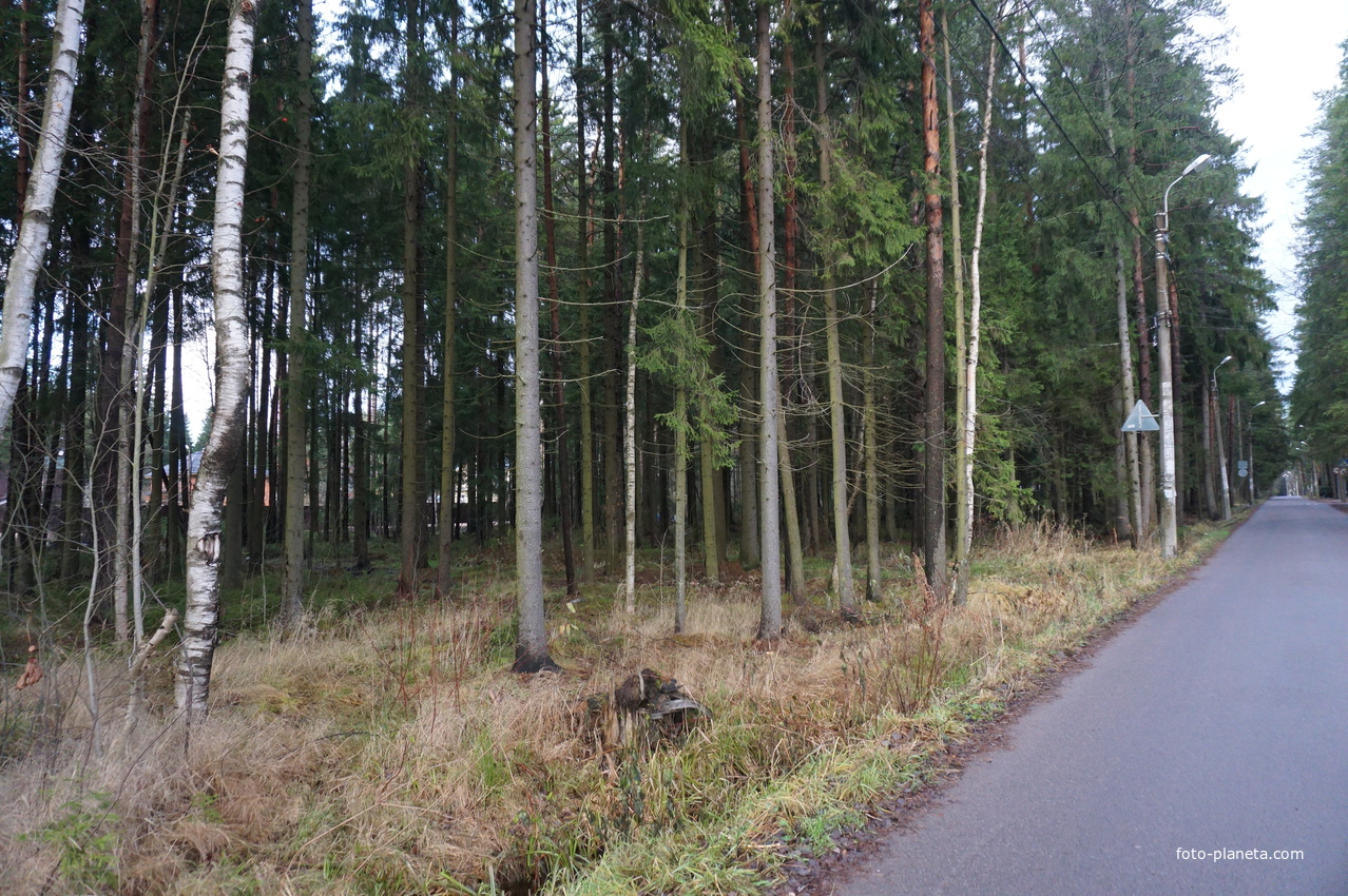 Зеленогорск