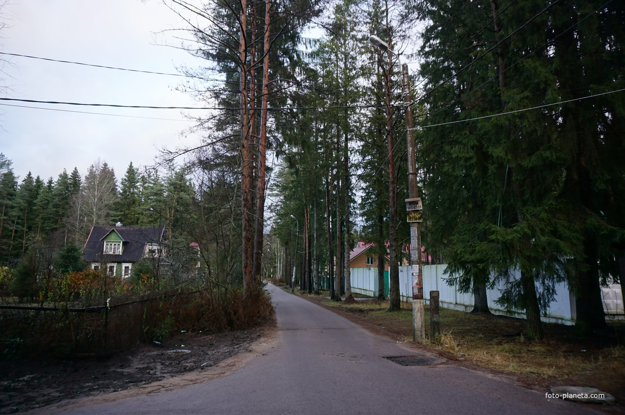 Зеленогорск