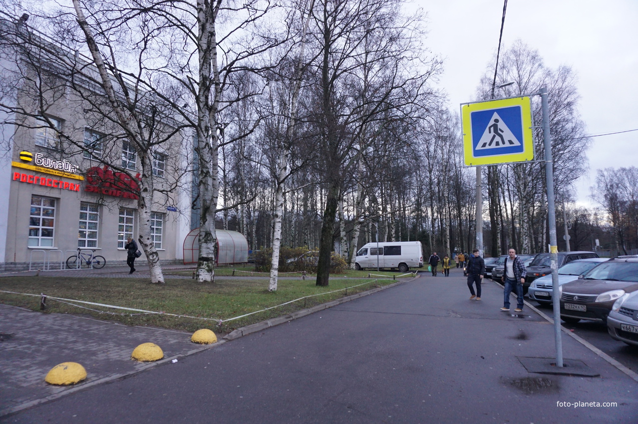 Зеленогорск