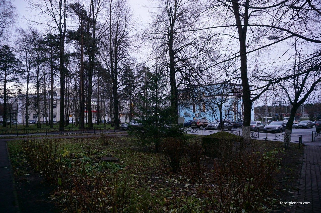 Зеленогорск