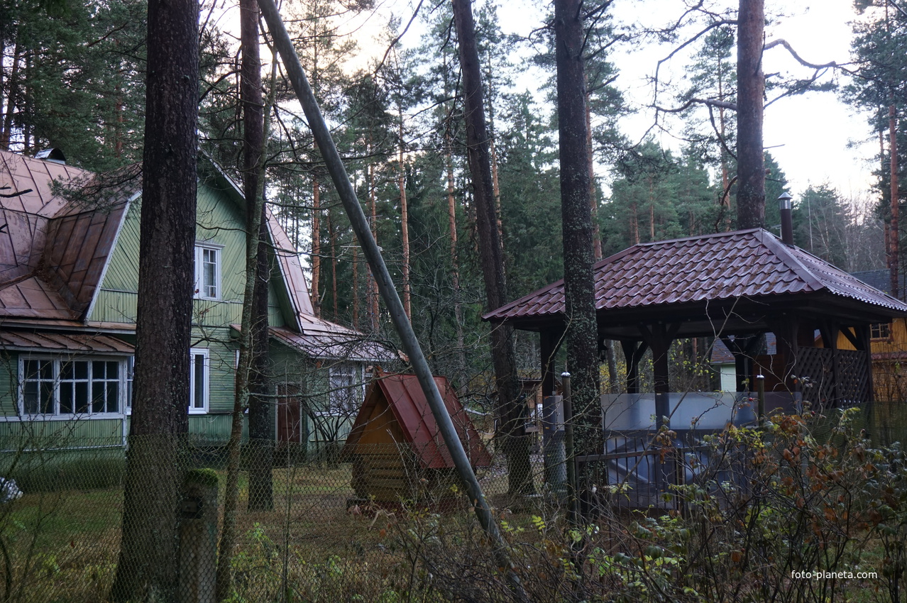 Зеленогорск