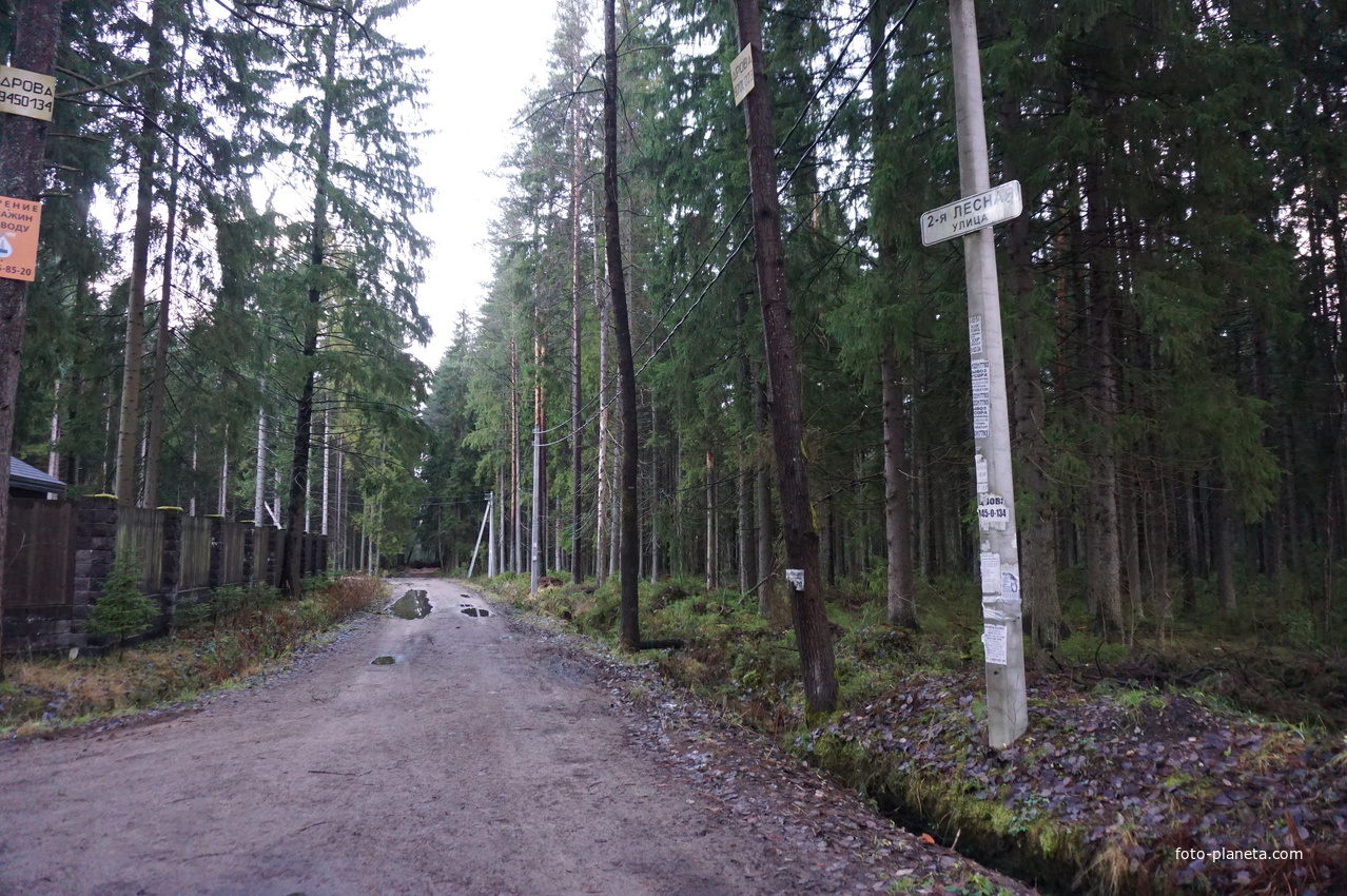 Зеленогорск