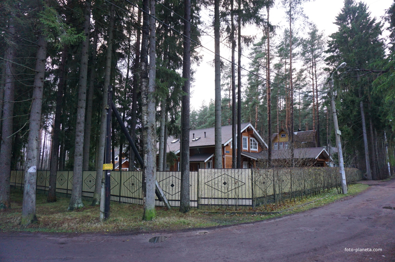 Зеленогорск