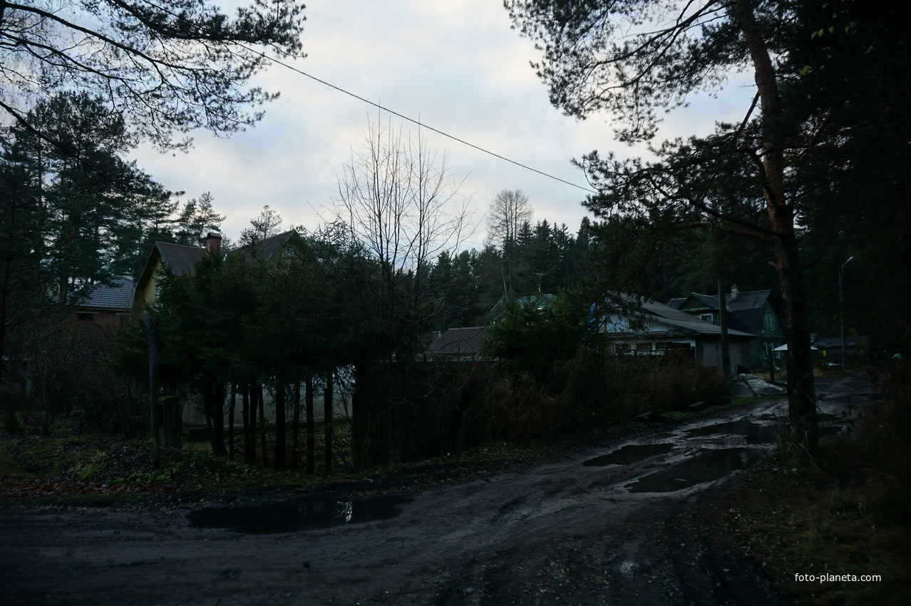 Зеленогорск