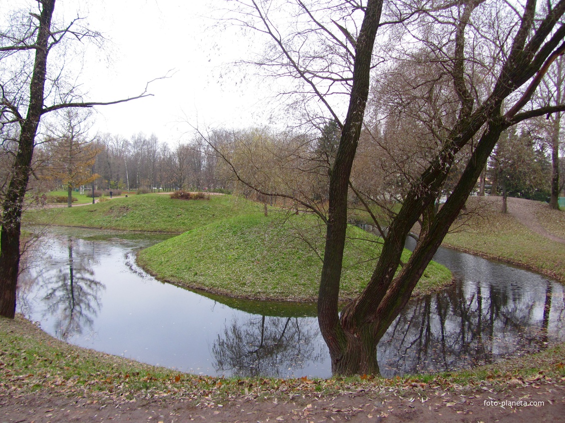 Фигурный пруд