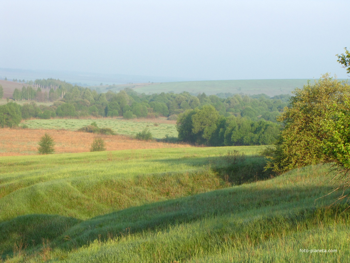 Вид на луг хутора Выдрин. фото Семенихина Г.А.