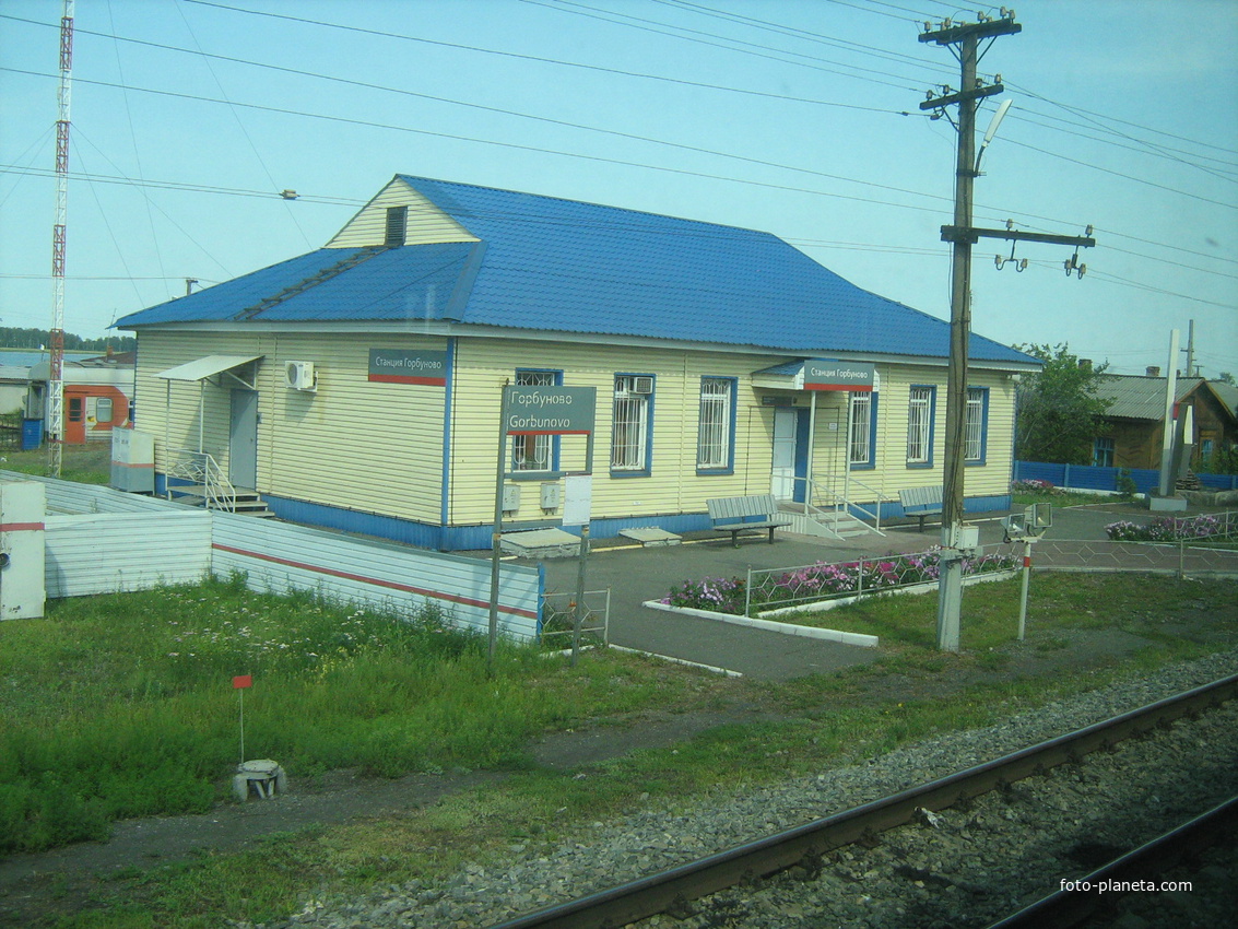 Станция Горбуново. 2017