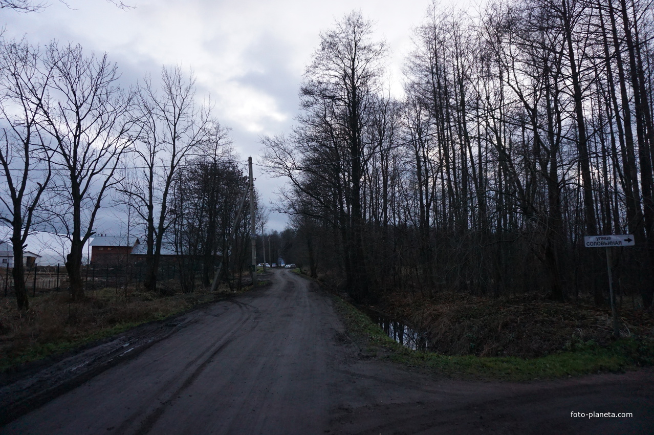 Петровская алея.